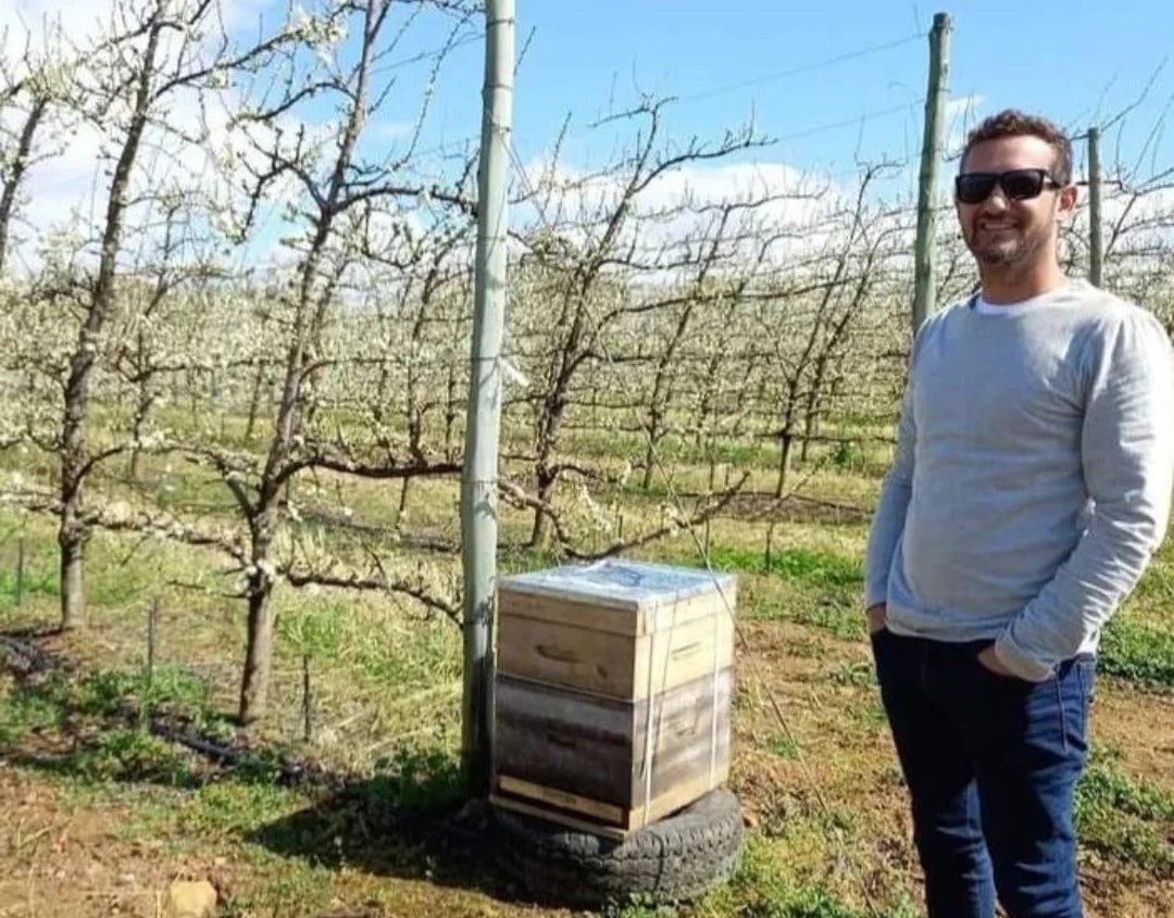 Pollination Hives